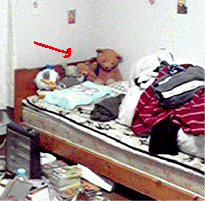 e0103408_0285518.gif