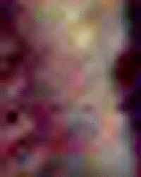 e0103408_15391220.gif