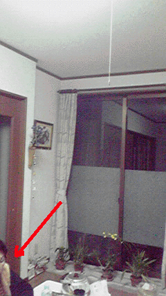 e0103408_15502939.gif