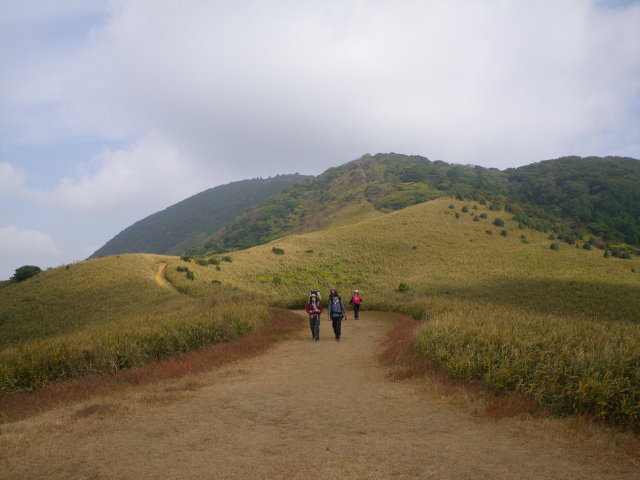 d0006512_0132586.jpg