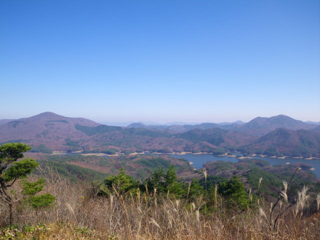 d0006512_23145999.jpg