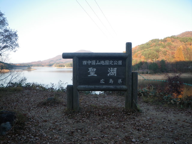d0006512_2355152.jpg