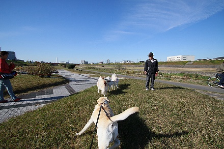 f0191413_11133980.jpg