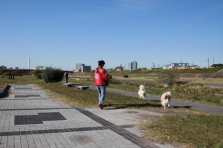 f0191413_11192735.jpg