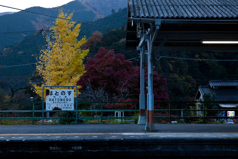 鳩ノ巣→古里→大塚山_e0051018_18362963.jpg