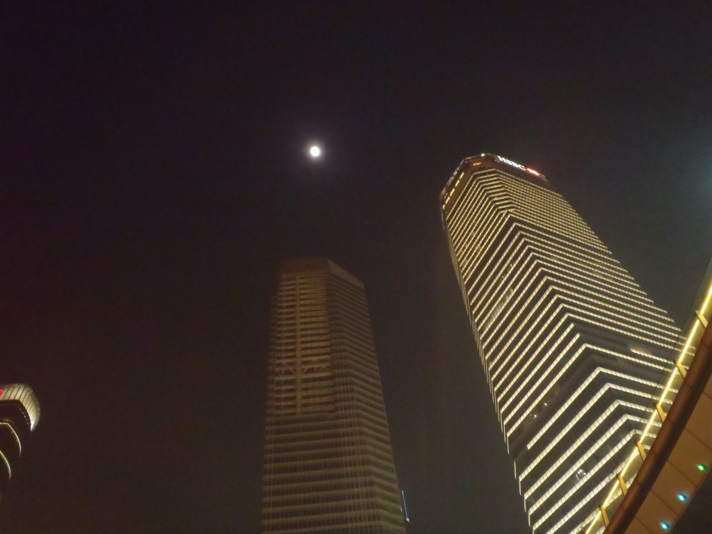 e0171018_222948.jpg