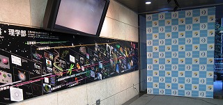 c0166720_2051567.jpg