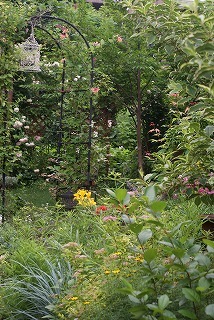 f0170524_14494920.jpg