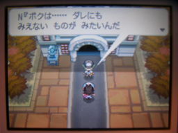 ポケットモンスターブラック縛りプレイ_a0120525_253055.jpg