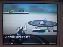 ポケットモンスターブラック縛りプレイ つきねこの日記