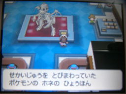 ポケットモンスターブラック縛りプレイ_a0120525_275835.jpg