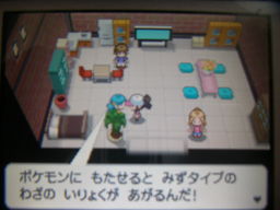 ポケットモンスターブラック縛りプレイ_a0120525_283689.jpg