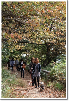 マザーウルフ　2010’秋の遠足@二度目の金沢自然公園へ行く♪　_e0191026_21382377.jpg