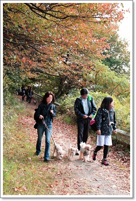 マザーウルフ　2010’秋の遠足@二度目の金沢自然公園へ行く♪　_e0191026_21383464.jpg