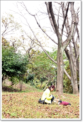 マザーウルフ　2010’秋の遠足@二度目の金沢自然公園へ行く♪　_e0191026_21385819.jpg