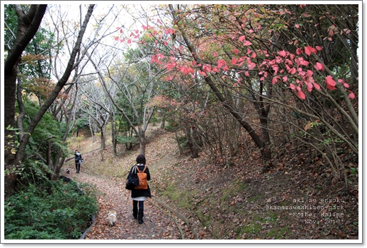 マザーウルフ　2010’秋の遠足@二度目の金沢自然公園へ行く♪　_e0191026_2364675.jpg