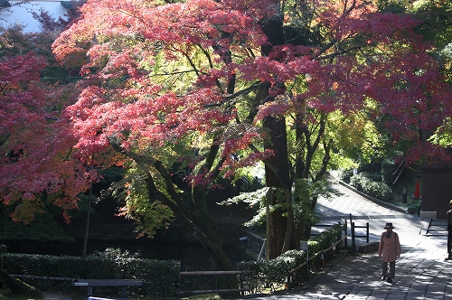 清水寺から鹿王院へ♪　その１_f0054428_0385877.jpg