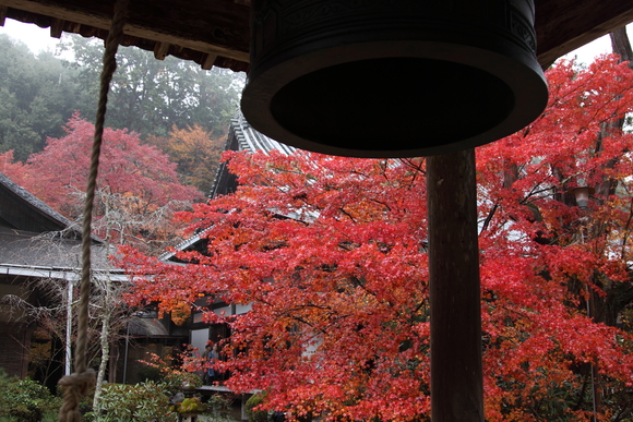 雨の京都②_d0200029_23173025.jpg