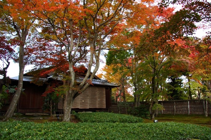 嵯峨野紅葉巡り －天龍寺－_b0169330_1030454.jpg