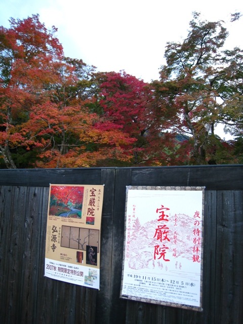 嵯峨野紅葉巡り －天龍寺－_b0169330_10305495.jpg