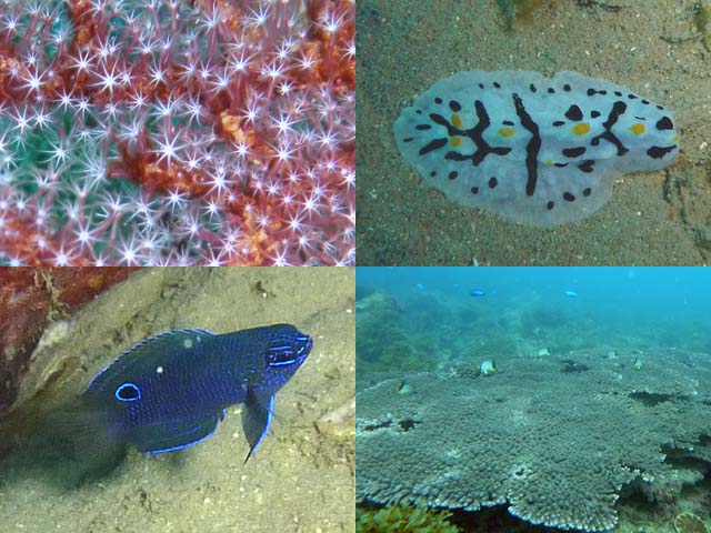 2010年11月23日(火・晴れ)甲浦_d0164831_1321586.jpg