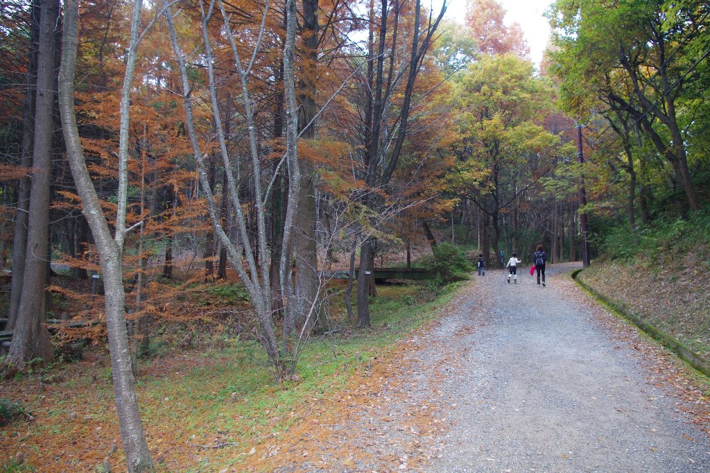 父親山間(参観)_c0113733_21224719.jpg