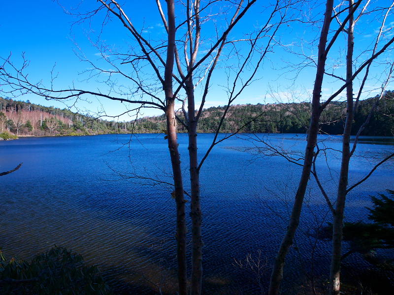 d0125535_1016960.jpg