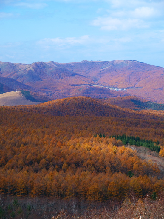 d0125535_1593139.jpg