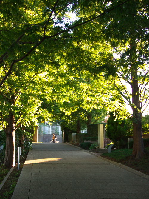 d0125535_1742737.jpg