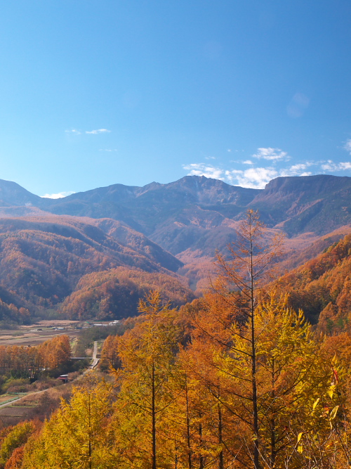 d0125535_945168.jpg