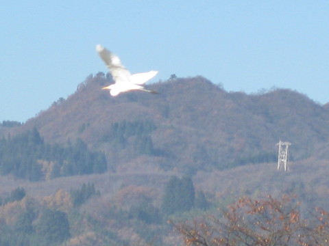 a0158236_121825.jpg