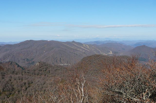 f0003138_19506.jpg