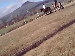 あつかましいニャン五郎_e0145441_20432193.jpg