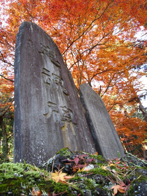 土津神社＠福島県猪苗代町_f0048546_2355858.jpg