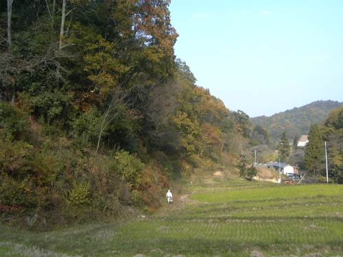 f0002248_15383573.jpg