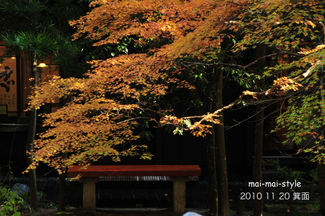 2010 11 20 箕面 紅葉_d0073255_22533665.jpg