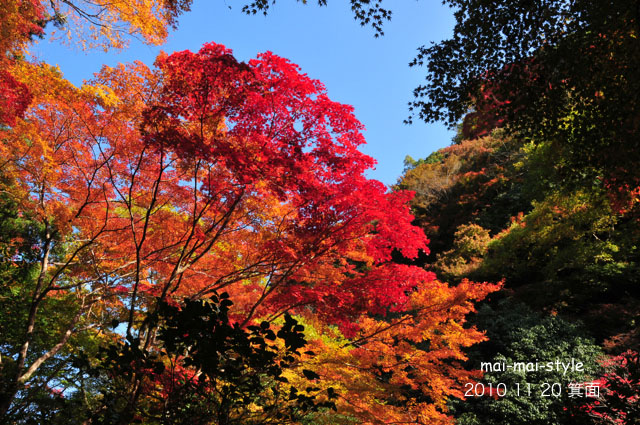 2010 11 20 箕面 紅葉_d0073255_239031.jpg