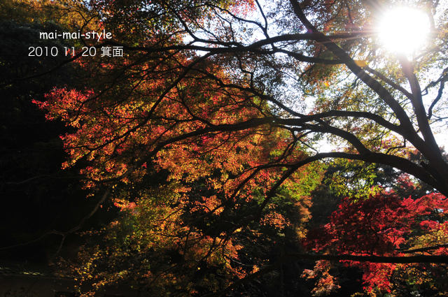 2010 11 20 箕面 紅葉_d0073255_2395667.jpg