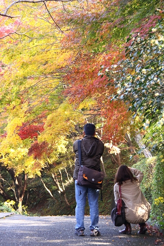 有田町歴史民族資料館の紅葉　佐賀県有田町_b0123359_2119129.jpg