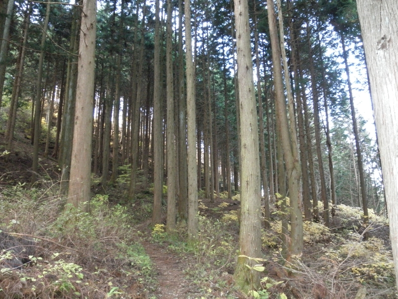 c0016259_2311922.jpg