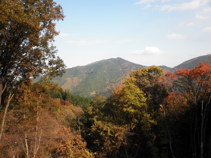 c0016259_2313547.jpg