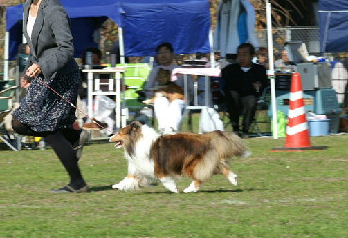 茨城展_f0126965_18264657.jpg