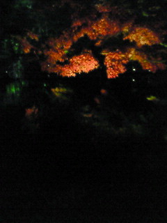 f0180166_0103669.jpg