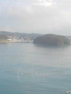 宮城BIG2!_f0204368_0504960.jpg