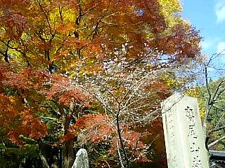 秋の紅葉狩り_e0159969_1543243.jpg