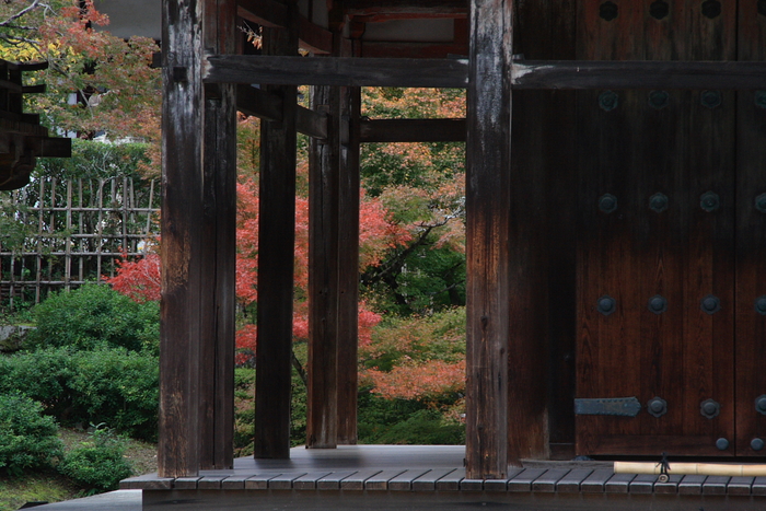 世界遺産　平等院　（１）_a0116472_1815877.jpg