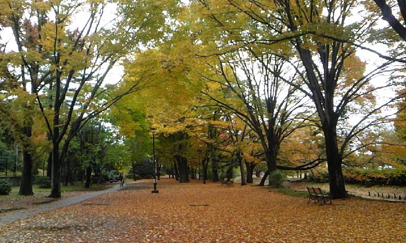 e0212073_15232969.jpg
