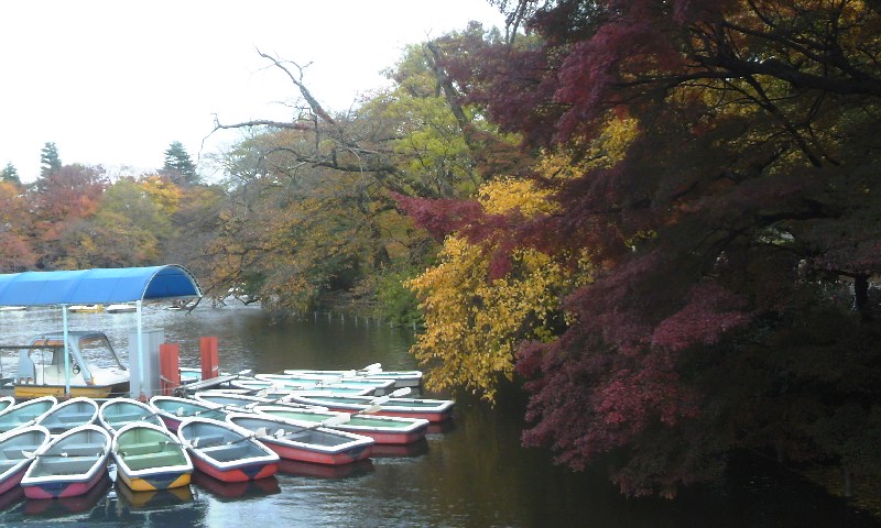e0212073_1524082.jpg