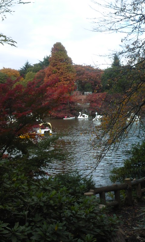e0212073_1525257.jpg