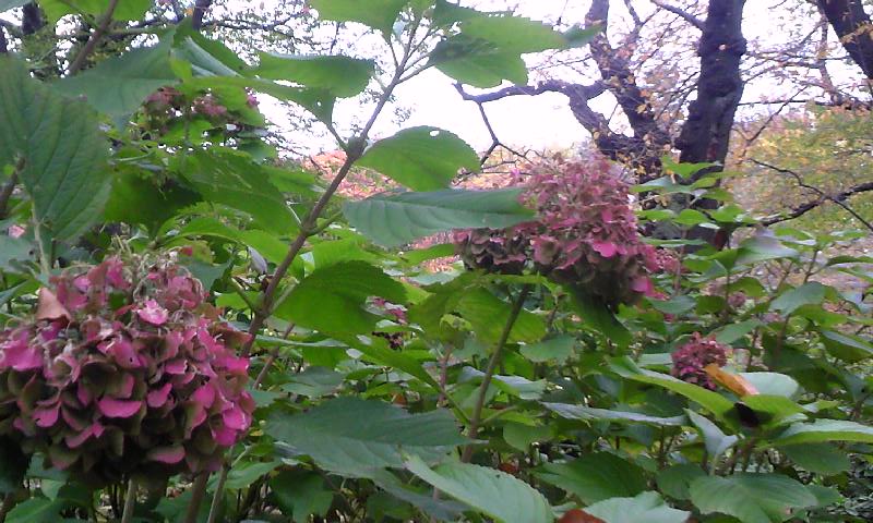 e0212073_15262913.jpg